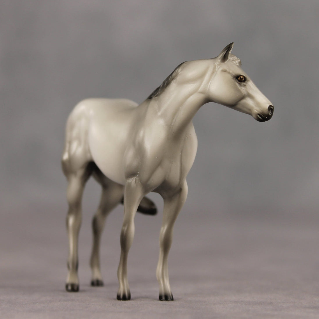 Gray & Proud OOAK FCM Chip Stock Horse by Julie Keim SHCF26