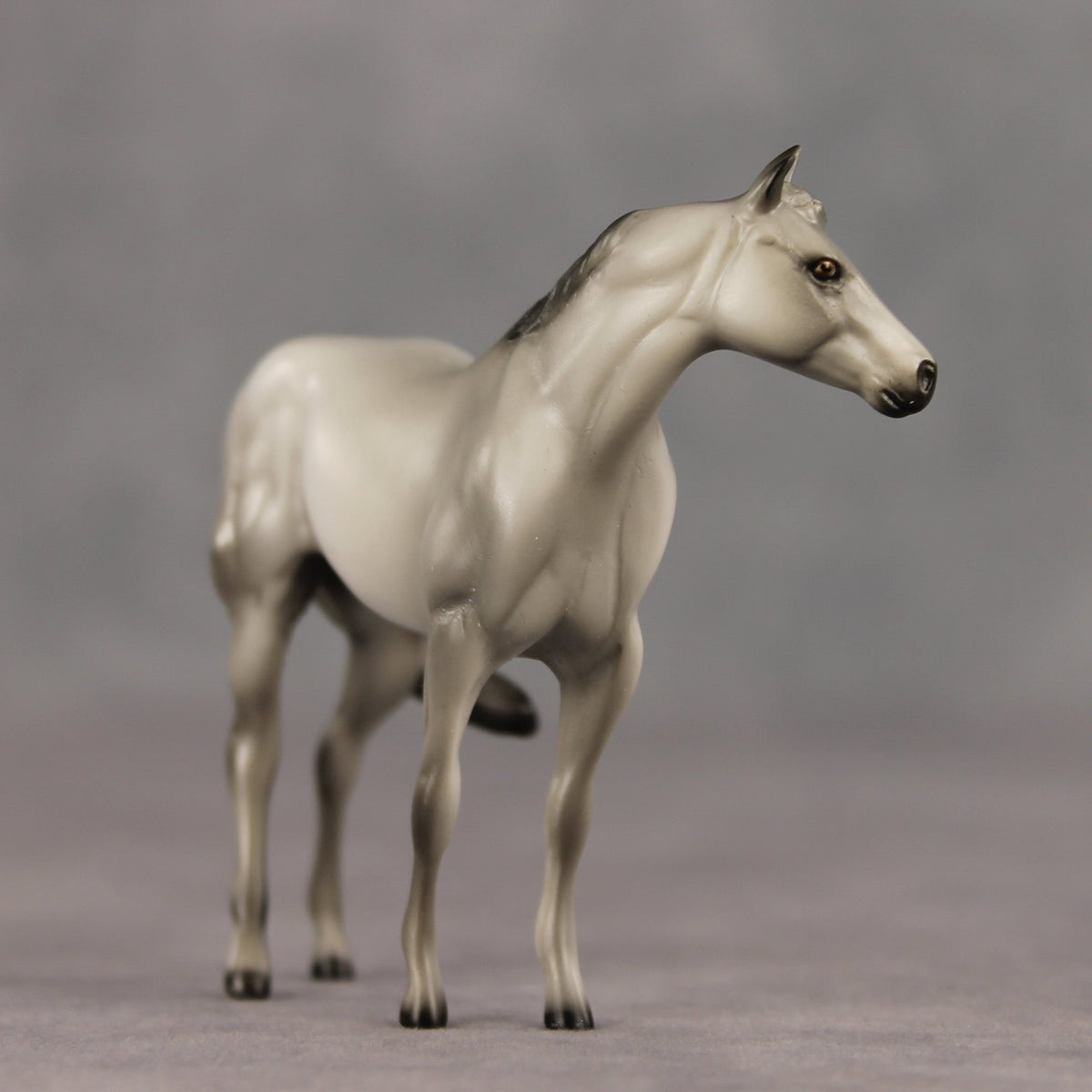 Gray & Proud OOAK FCM Chip Stock Horse by Julie Keim SHCF26