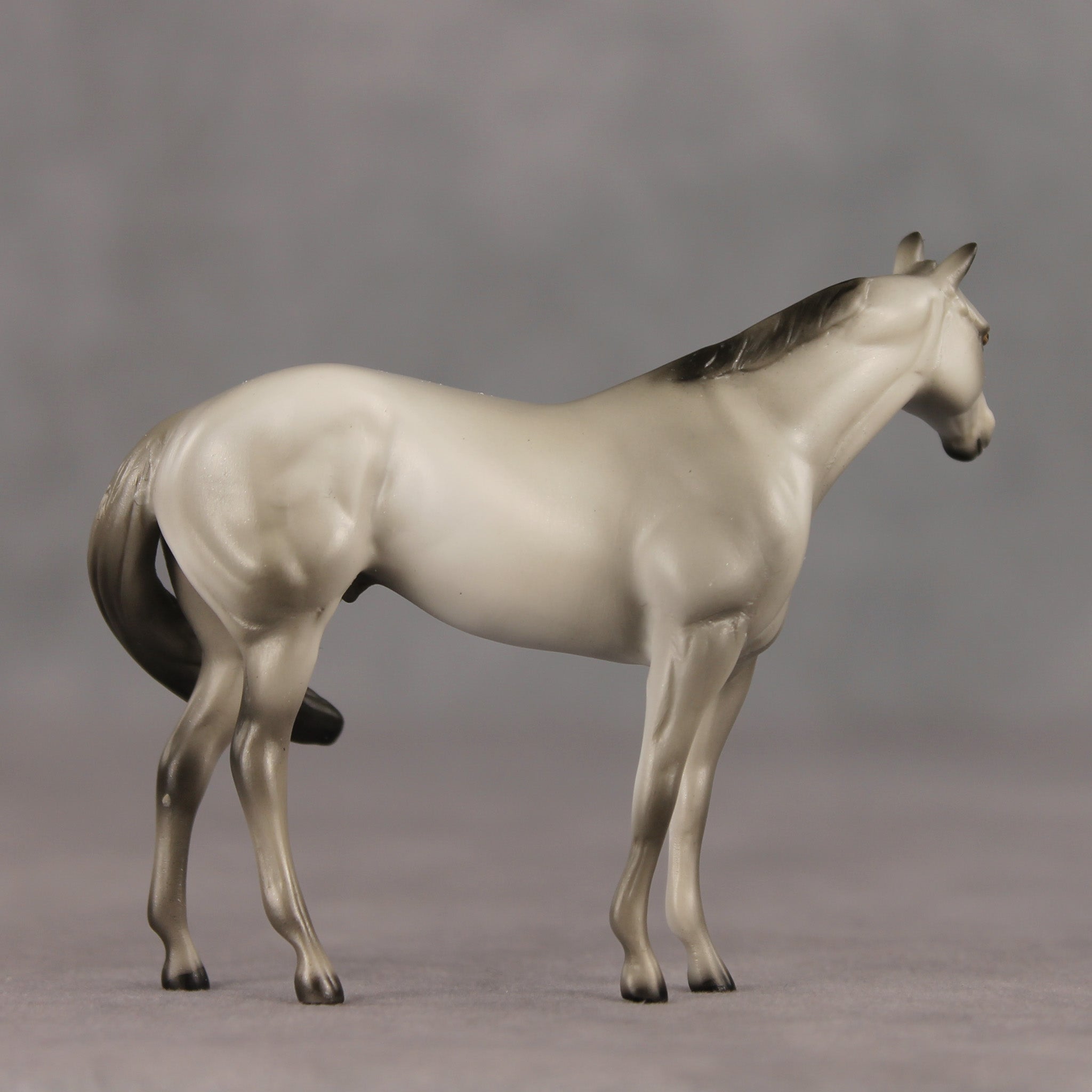 Gray & Proud OOAK FCM Chip Stock Horse by Julie Keim SHCF26