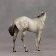 Gray & Proud OOAK FCM Chip Stock Horse by Julie Keim SHCF26