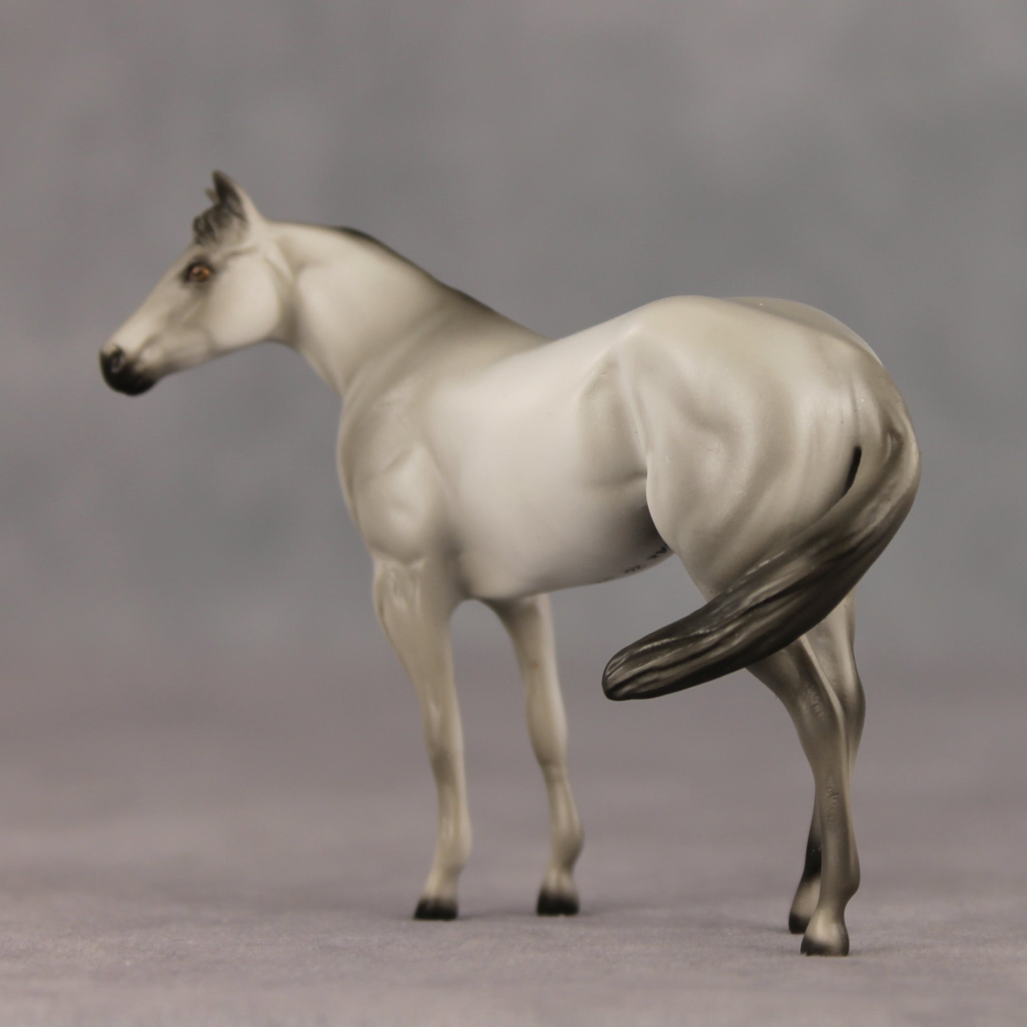 Gray & Proud OOAK FCM Chip Stock Horse by Julie Keim SHCF26