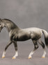 Gray Skies OOAK Chip Warmblood by Dawn Quick SHCF26
