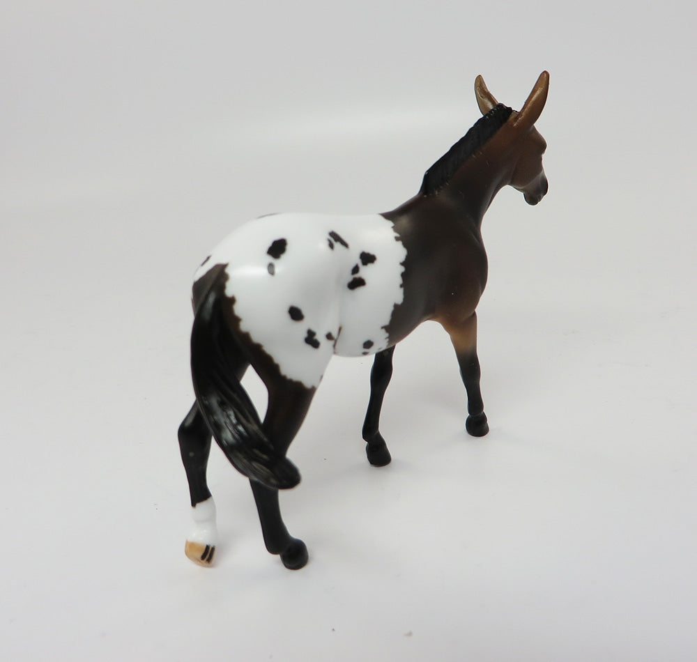 GROVER-LE-8 CUSTOM BAY APPALOOSA MULE CHIPS LHS 2017