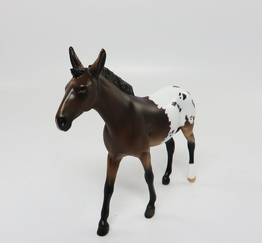 GROVER-LE-8 CUSTOM BAY APPALOOSA MULE CHIPS LHS 2017