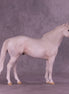 Gumdrop Gary OOAK FCM Ideal Stock Horse by Jess Hamill HS25