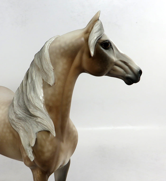 HALF TIME-OOAK CHESTNUT GOING GREY MORGAN HORSE 2/5