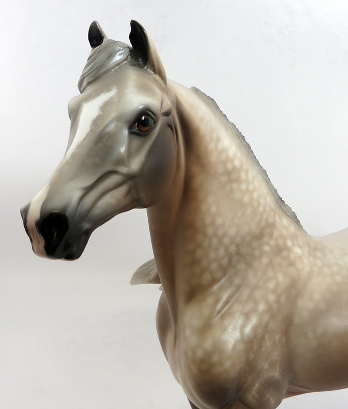 HALF TIME-OOAK CHESTNUT GOING GREY MORGAN HORSE 2/5