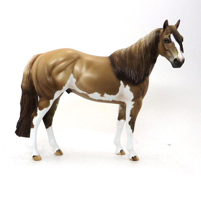 Josh Hoffman Limited Edition