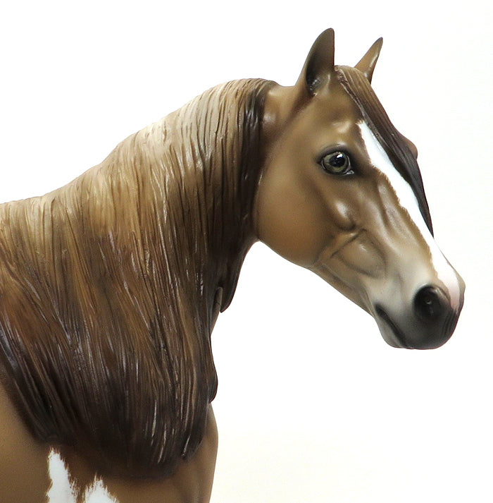 Paint Model Horse