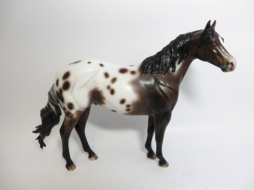 HANDS DOWN-OOAK CUSTOM BAY APPALOOSA ISH BY SHERYL LEISURE WHS 2017