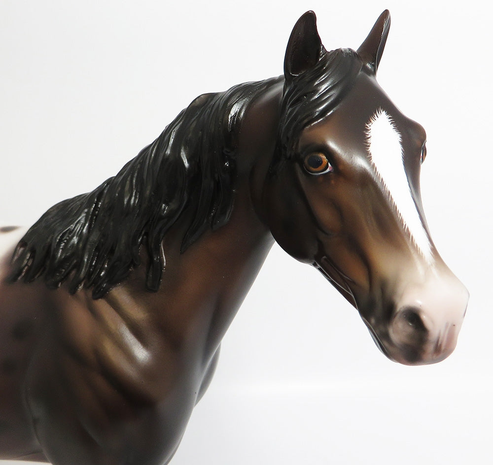 HANDS DOWN-OOAK CUSTOM BAY APPALOOSA ISH BY SHERYL LEISURE WHS 2017