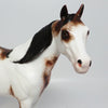 EQUILOCITY BASKET~HORSE LOVERS BASKET~25 TICKETS