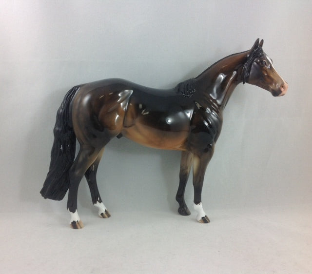 HARKER - OOAK Seal Bay Stock Horse