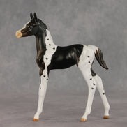 Heartfelt Message OOAK FCM Arabian Foal by Julie Keim VV26