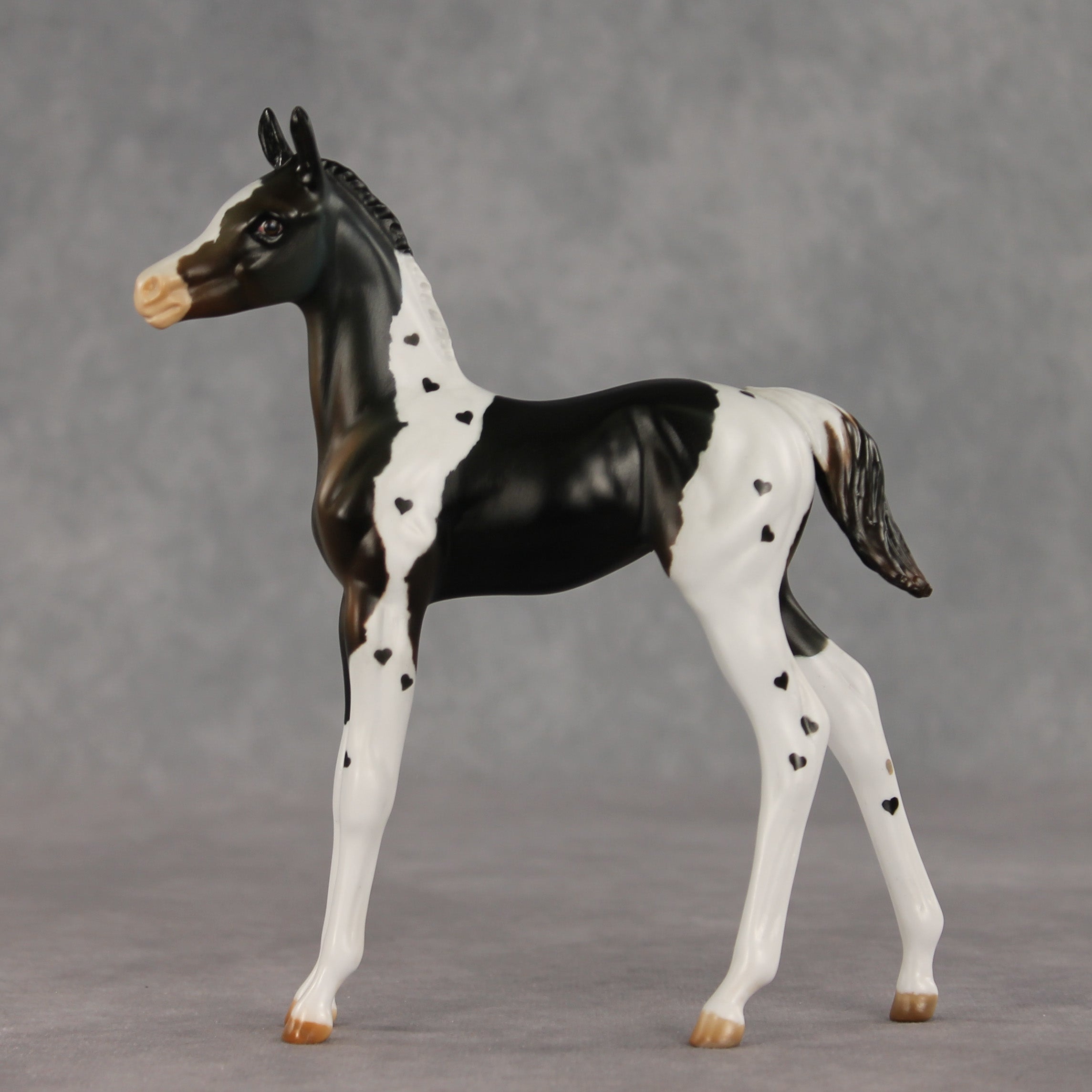 Heartfelt Message OOAK FCM Arabian Foal by Julie Keim VV26