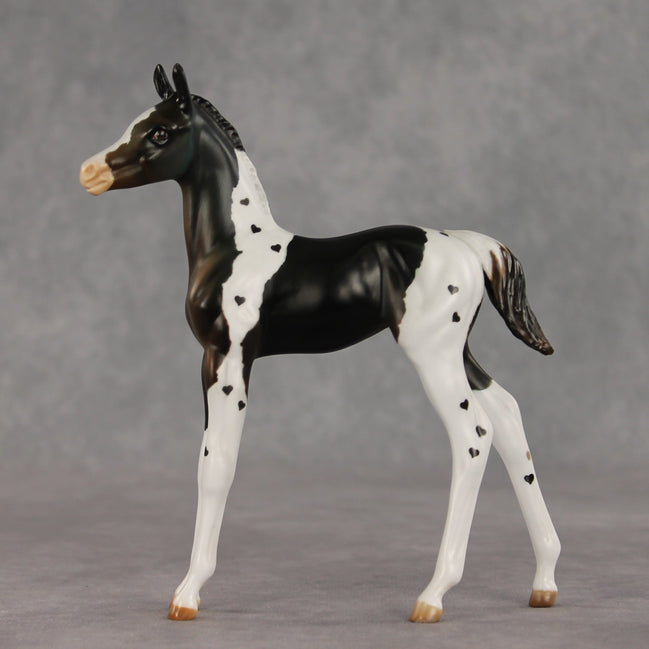 Heartfelt Message OOAK FCM Arabian Foal by Julie Keim VV26