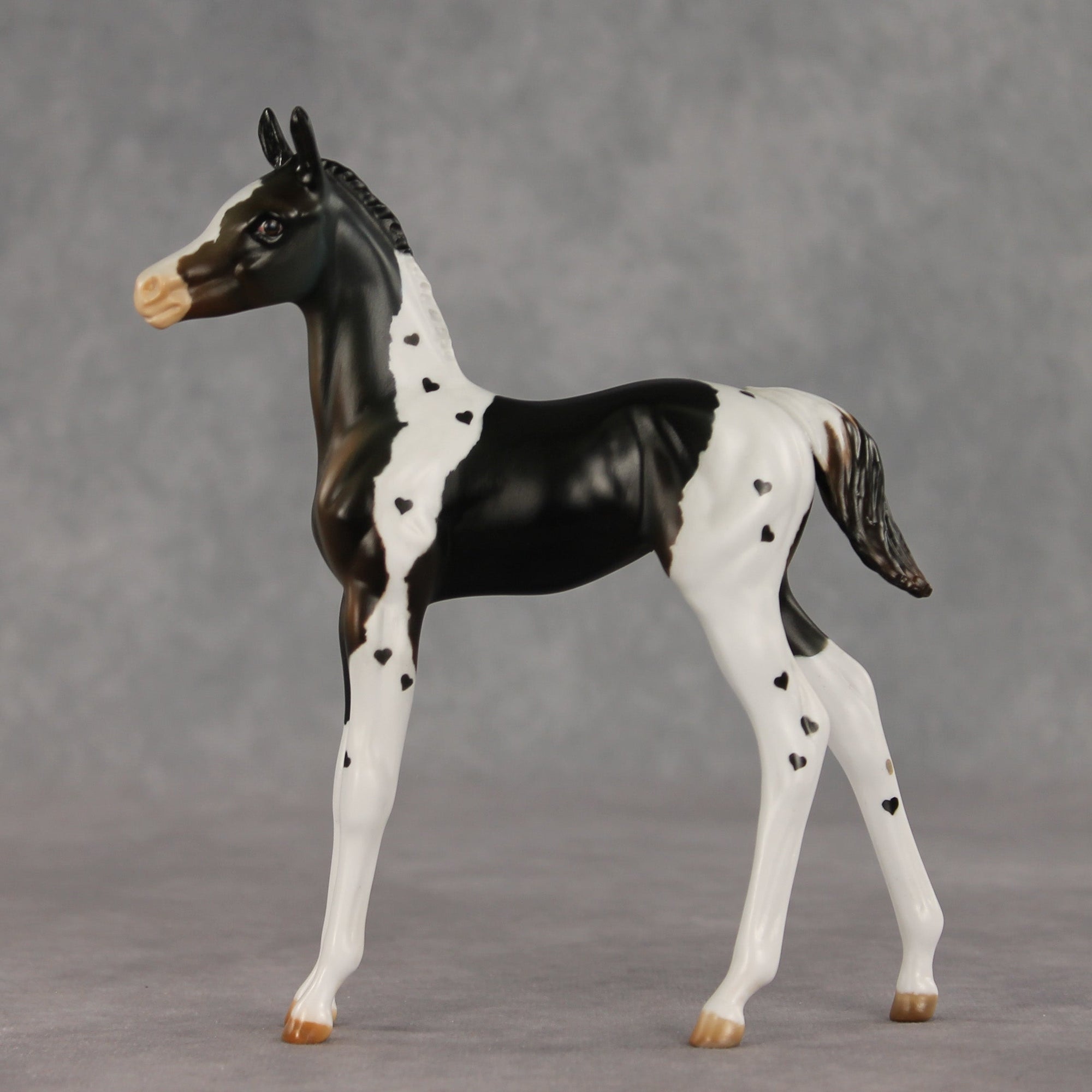 Heartfelt Message OOAK FCM Arabian Foal by Julie Keim VV26