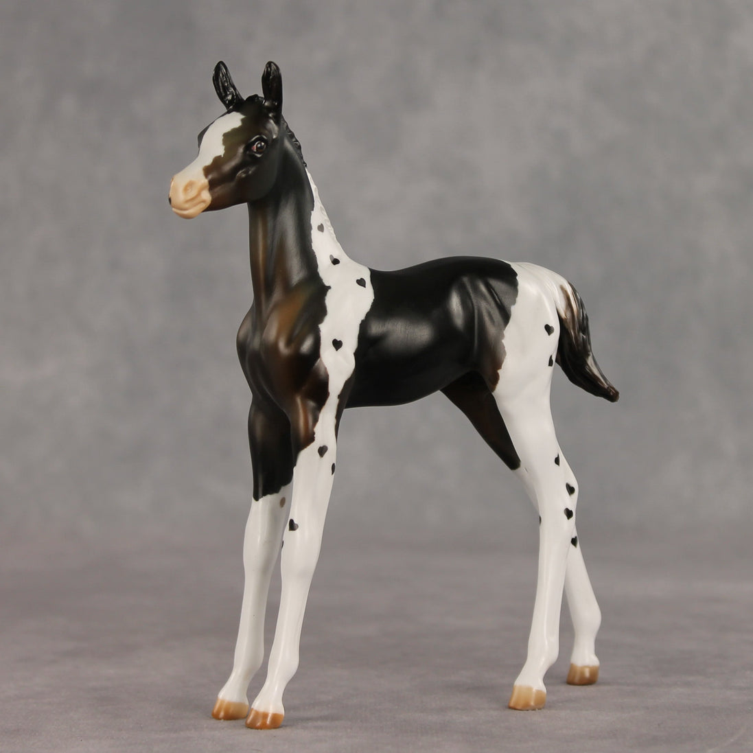 Heartfelt Message OOAK FCM Arabian Foal by Julie Keim VV26