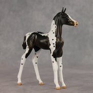 Heartfelt Message OOAK FCM Arabian Foal by Julie Keim VV26
