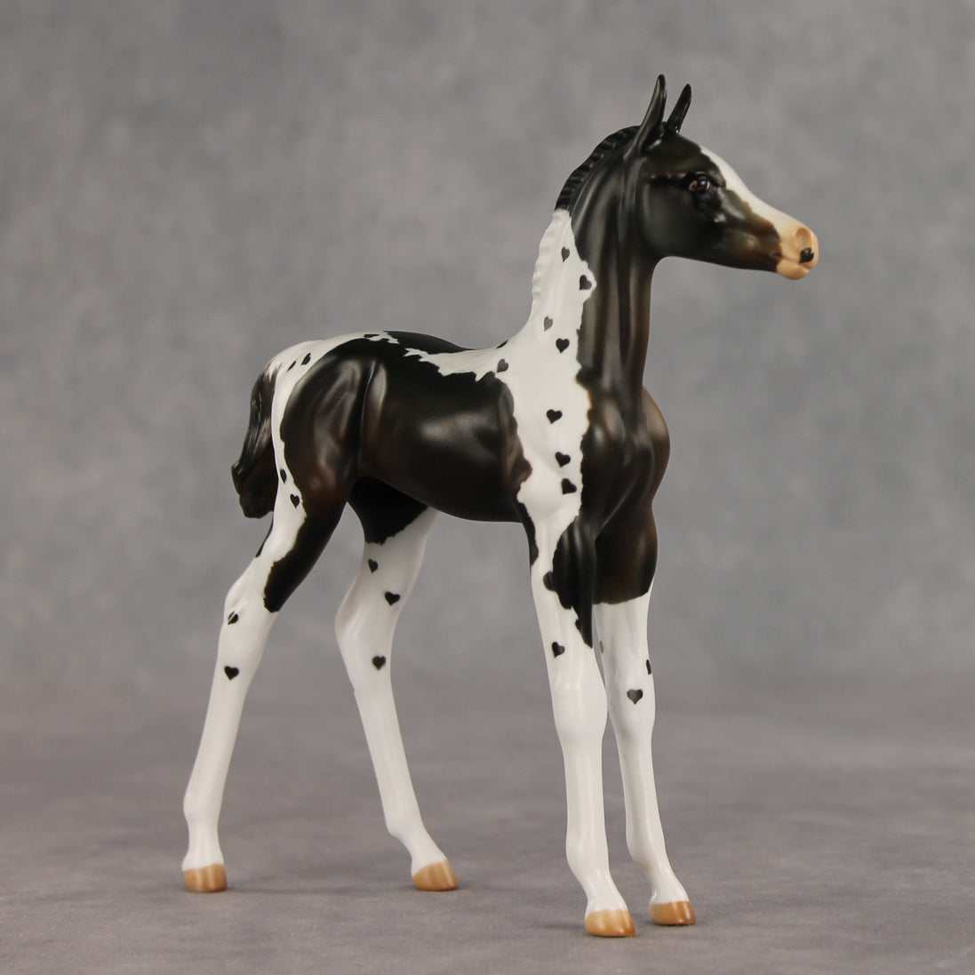 Heartfelt Message OOAK FCM Arabian Foal by Julie Keim VV26