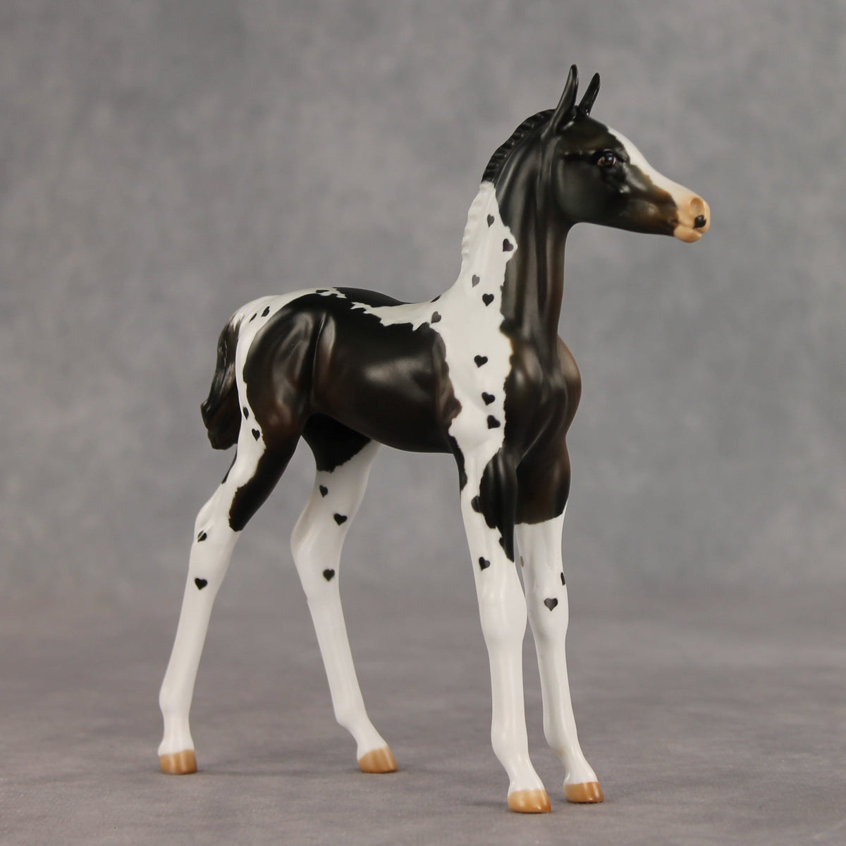 Heartfelt Message OOAK FCM Arabian Foal by Julie Keim VV26