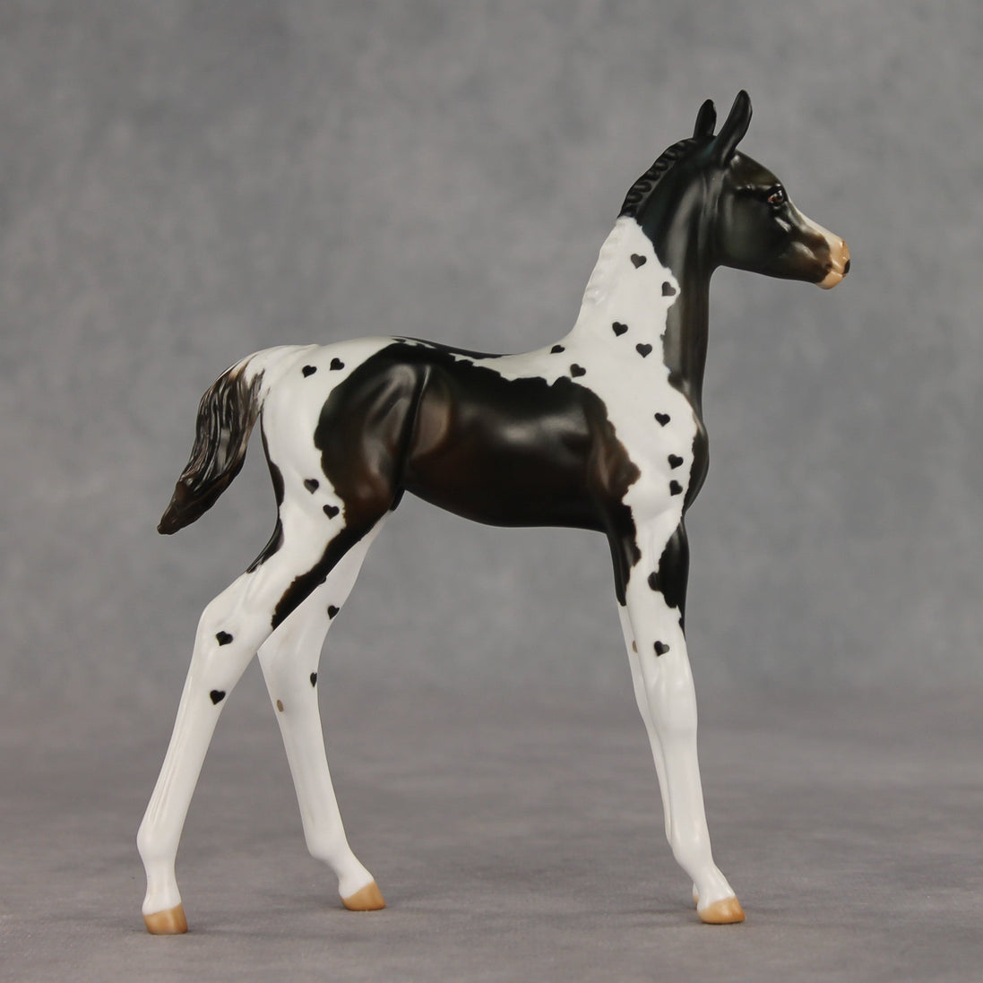 Heartfelt Message OOAK FCM Arabian Foal by Julie Keim VV26