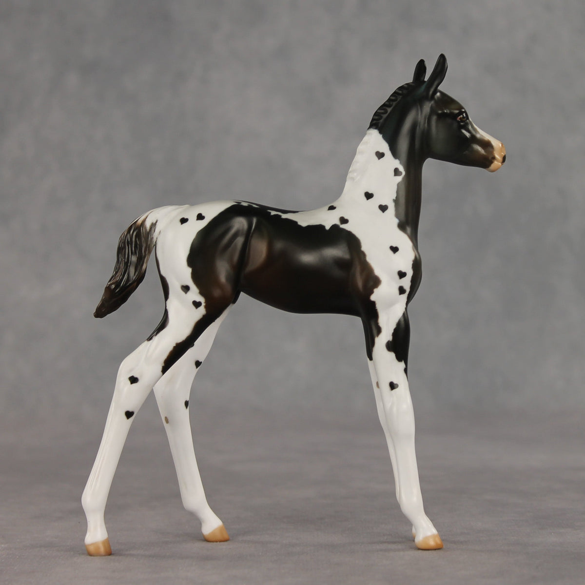 Heartfelt Message OOAK FCM Arabian Foal by Julie Keim VV26
