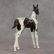 Heartfelt Message OOAK FCM Arabian Foal by Julie Keim VV26