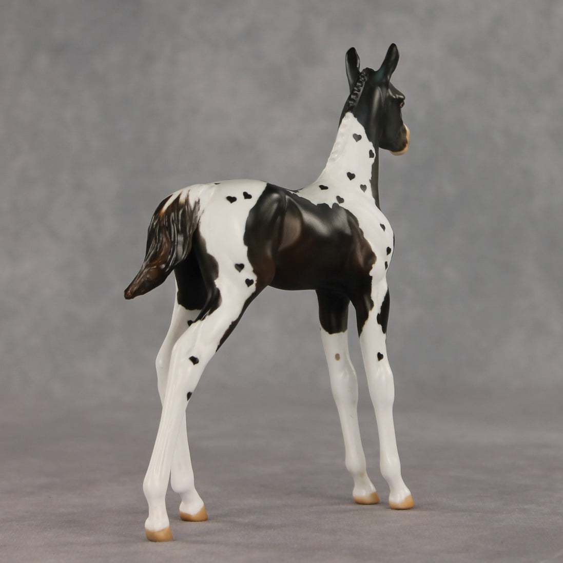 Heartfelt Message OOAK FCM Arabian Foal by Julie Keim VV26