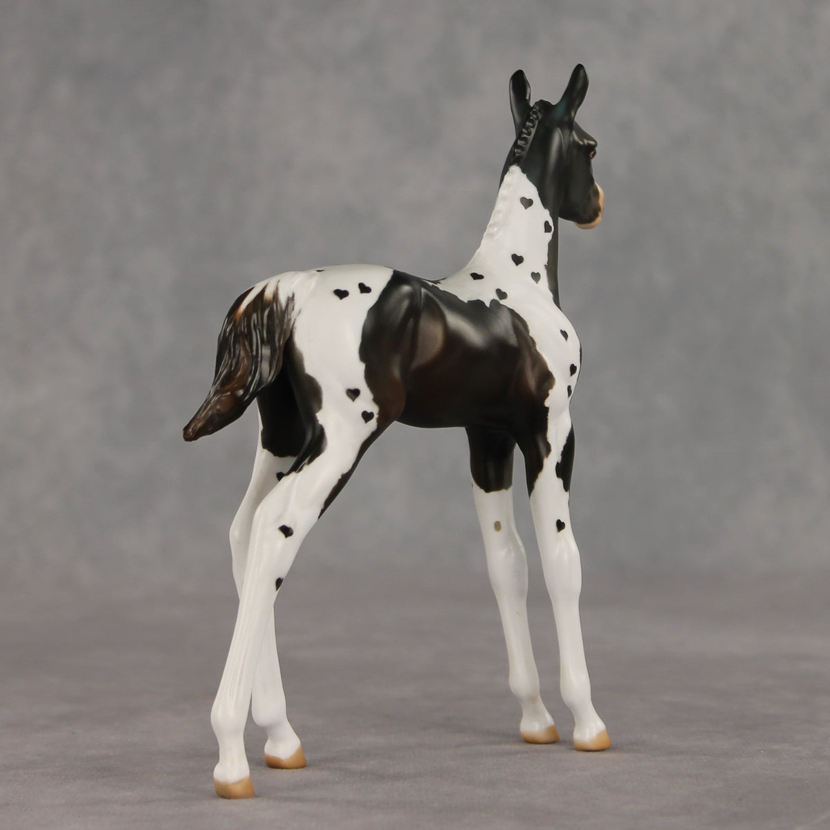 Heartfelt Message OOAK FCM Arabian Foal by Julie Keim VV26