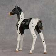 Heartfelt Message OOAK FCM Arabian Foal by Julie Keim VV26