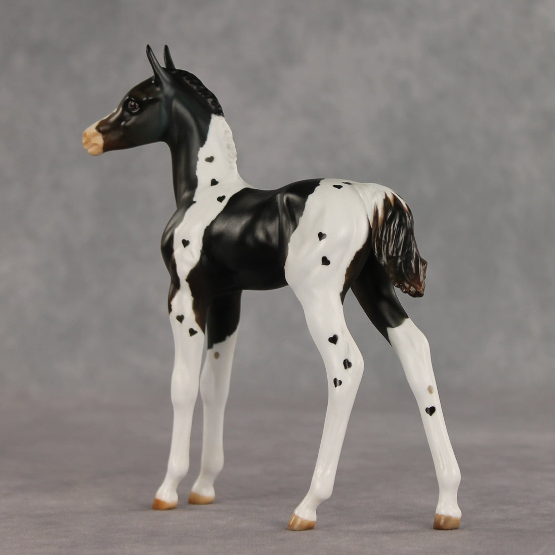 Heartfelt Message OOAK FCM Arabian Foal by Julie Keim VV26