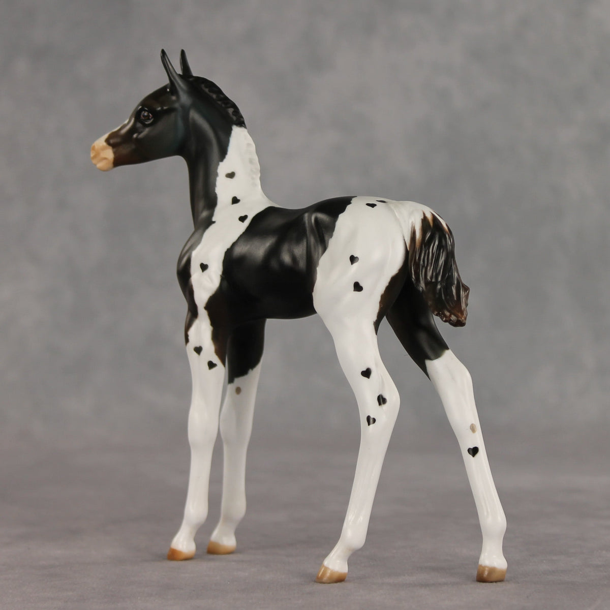 Heartfelt Message OOAK FCM Arabian Foal by Julie Keim VV26