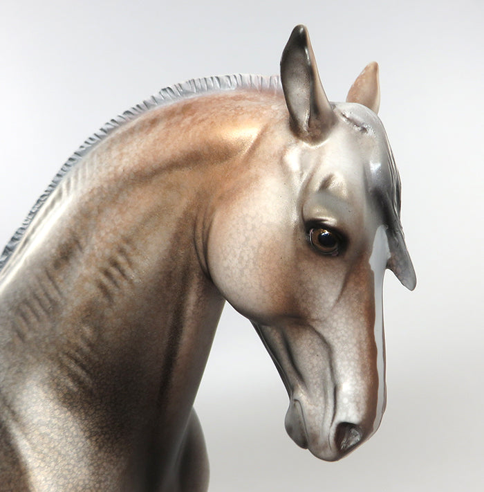 HECHIZADO-OOAK APPALOOSA ANDALUSIAN MODEL HORSE BY DAWN QUICK 8/23