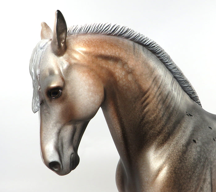 HECHIZADO-OOAK APPALOOSA ANDALUSIAN MODEL HORSE BY DAWN QUICK 8/23