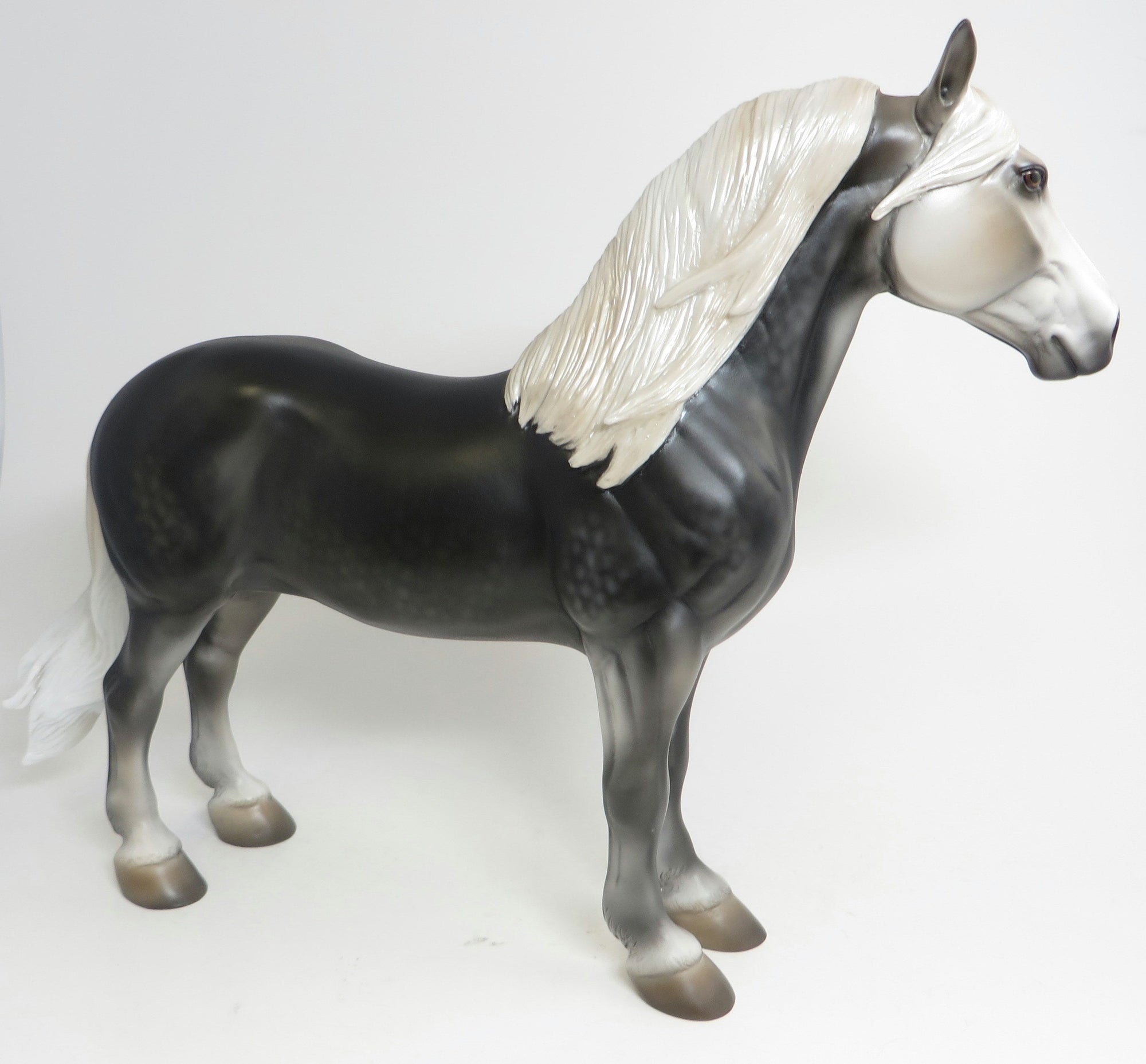 HEMINGWAY-LE6-DAPPLE GREY PERCHERON 9/3