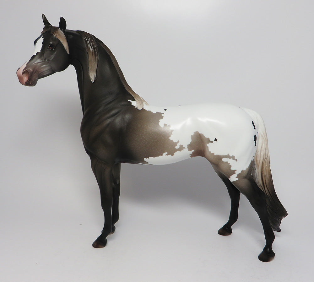 HEMINGWAY-OOAK APPALOOSA ARABIAN CM TAIL AND MANE EQ 2017