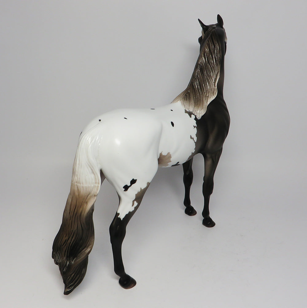 HEMINGWAY-OOAK APPALOOSA ARABIAN CM TAIL AND MANE EQ 2017
