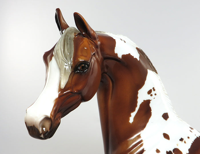 HERCULES-LE4 SILVER BAY PAINT ARABIAN MODEL HORSE EQ 2016 7/28