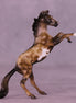 Heza dun it OOAK Chip Mustang by Anna Rieck HS25