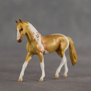 Hokey Pokey OOAK Chip Warmblood by Alex Fortman SCD26