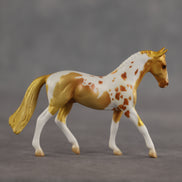 Hokey Pokey OOAK Chip Warmblood by Alex Fortman SCD26