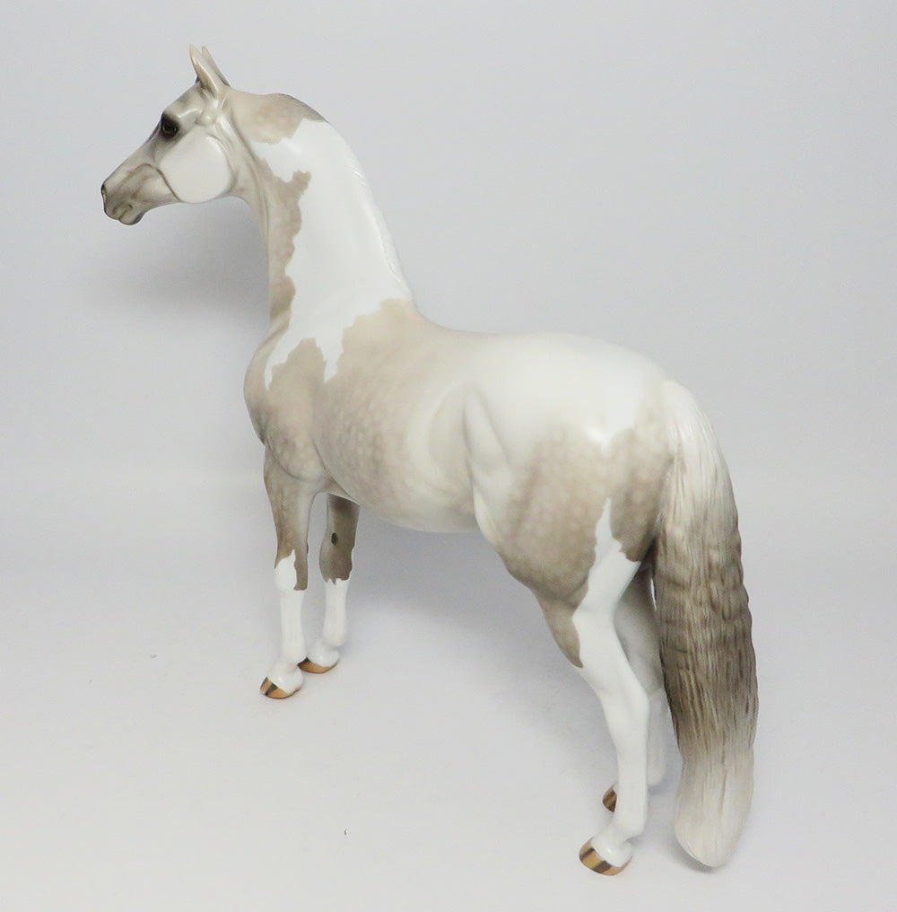 HOLLYWOOD~LE-4 DAPPLE GREY PAINT MORGAN EQ 2017