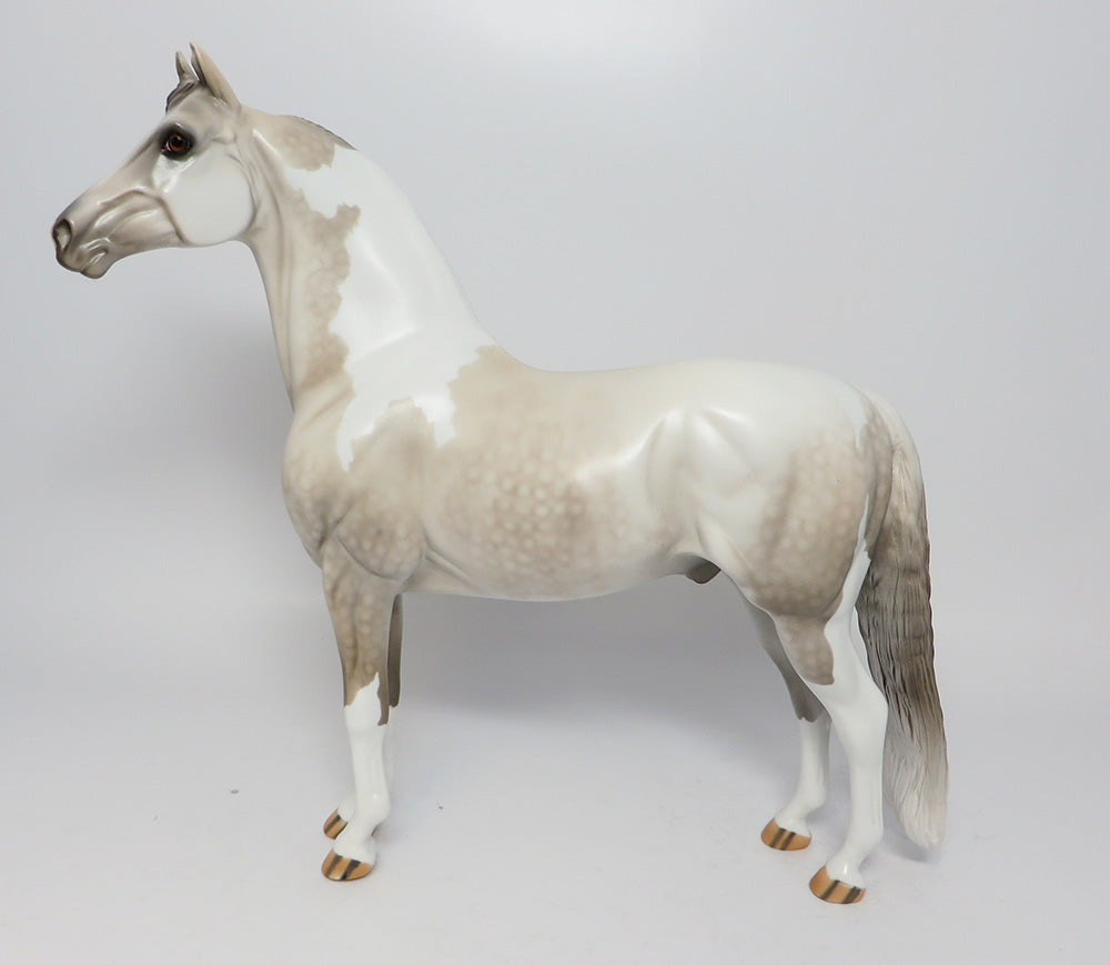 HOLLYWOOD~LE-4 DAPPLE GREY PAINT MORGAN EQ 2017