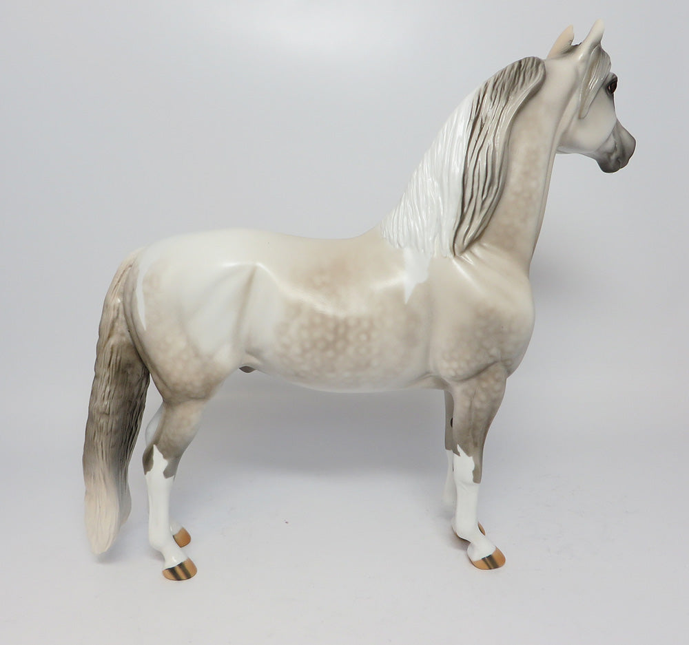 HOLLYWOOD~LE-4 DAPPLE GREY PAINT MORGAN EQ 2017