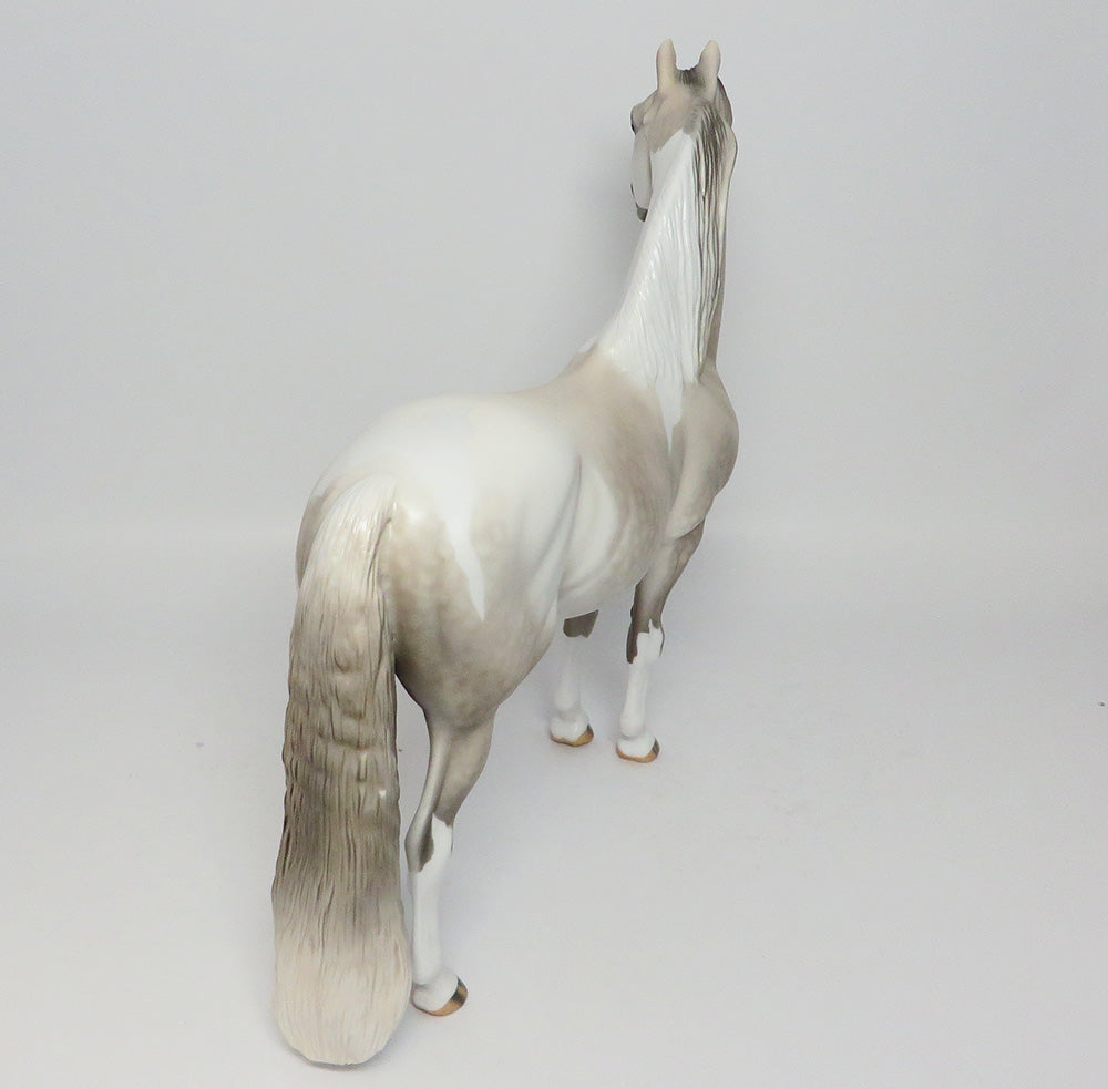 HOLLYWOOD~LE-4 DAPPLE GREY PAINT MORGAN EQ 2017