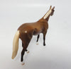 Palomino
