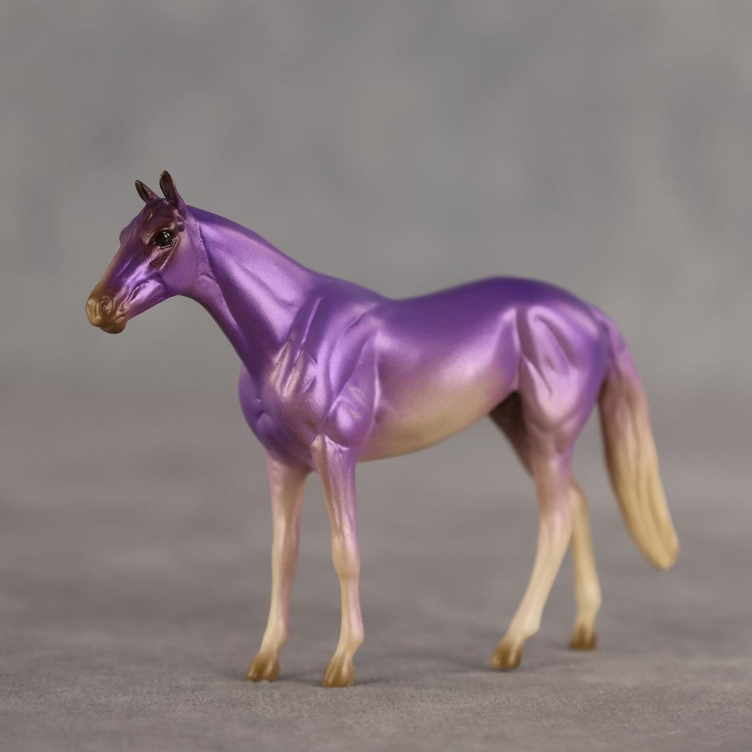 Honey Lavender OOAK Chip Thoroughbred by Alex Fortman SCD26