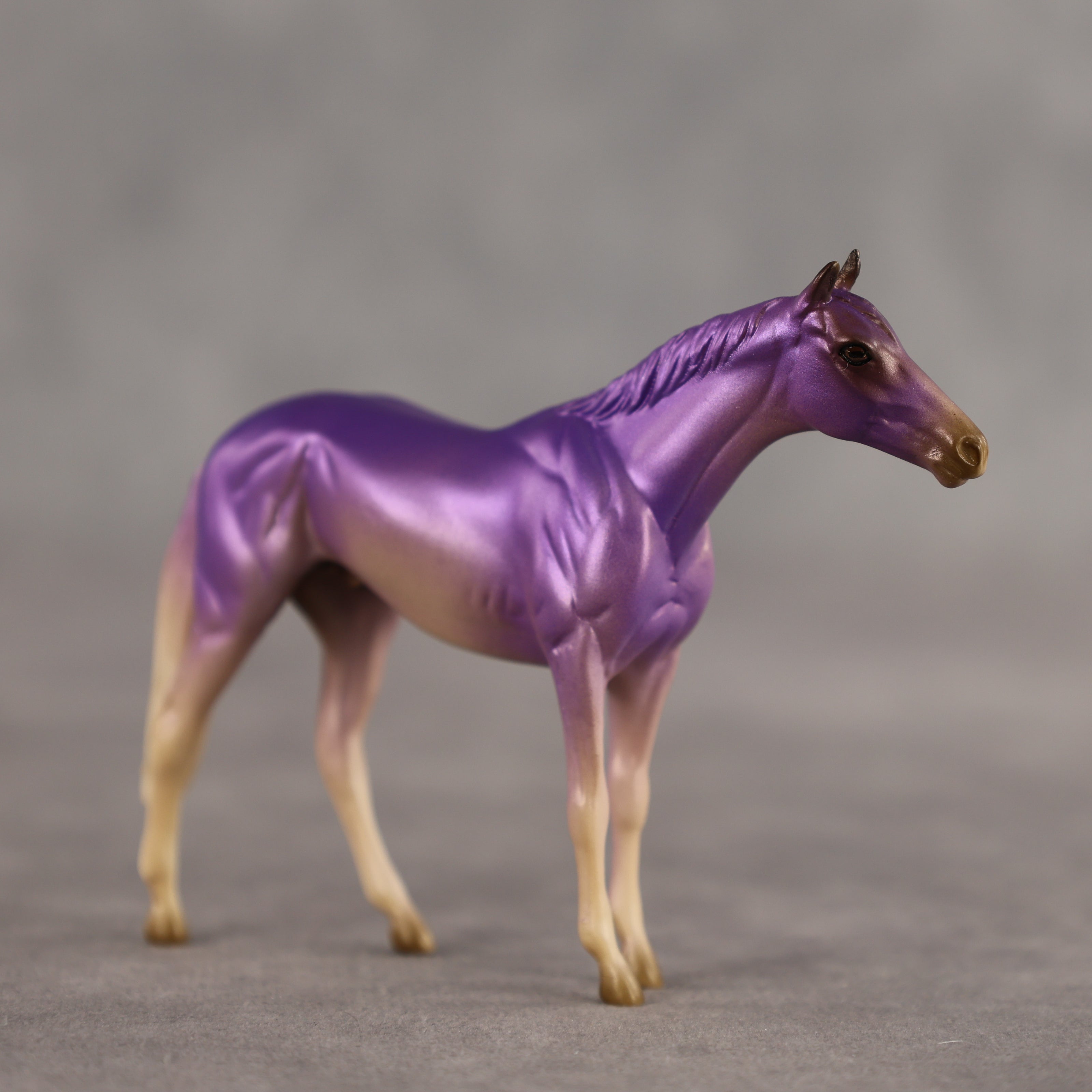 Honey Lavender OOAK Chip Thoroughbred by Alex Fortman SCD26