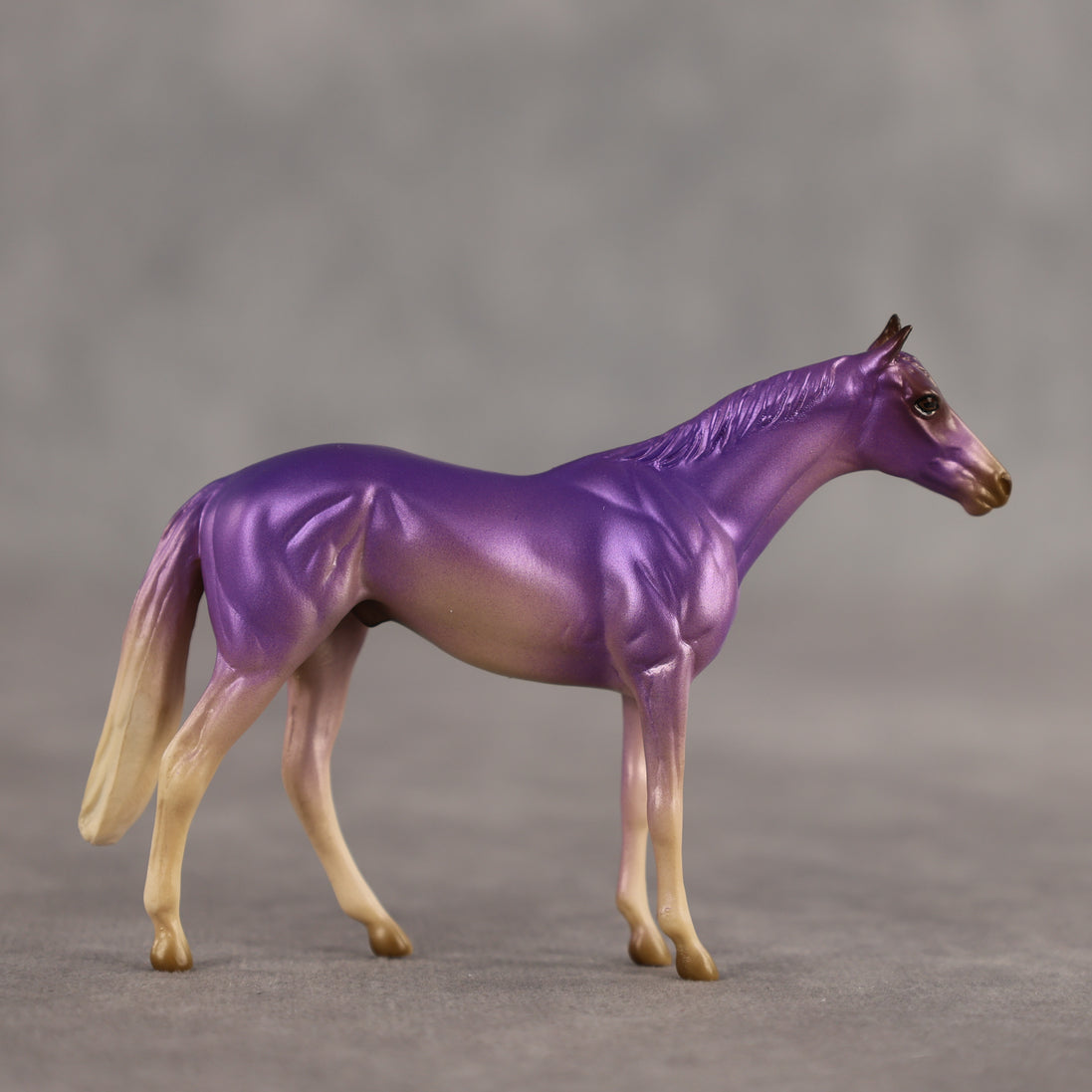 Honey Lavender OOAK Chip Thoroughbred by Alex Fortman SCD26